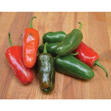Early Jalapeno Hot Pepper (Heirloom 66 Days) - Vegetables