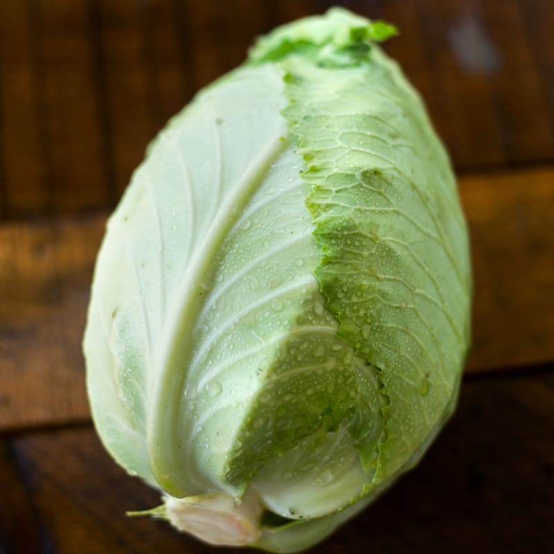 Early Jersey Wakefield Cabbage (Heirloom, 60-75 Days)