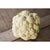 Early Snowball Cauliflower ( Heirloom 55 Days) - Vegetables