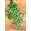 Easy to Grow Garden Kit - Seed Collections
