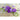 Easy Wave Lavender Sky Blue Petunia