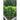 Everleaf Emerald Towers Basil