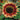 Floristan Sunflower - Flowers