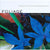 Foliage - Books