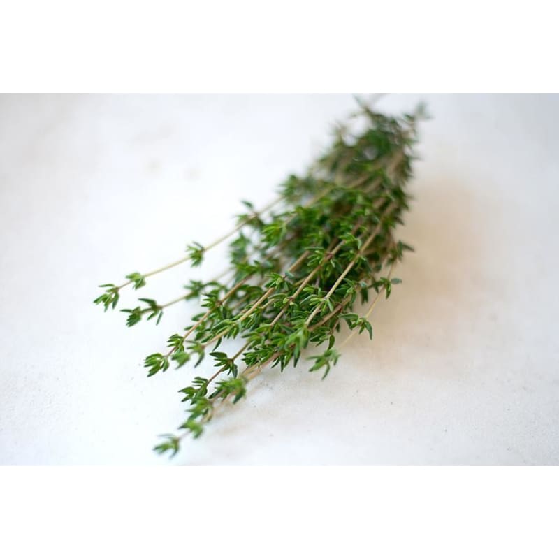French Thyme - Herbs