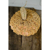 Galeux D Eysines Winter Squash (Heirloom 100 Days) - Vegetables
