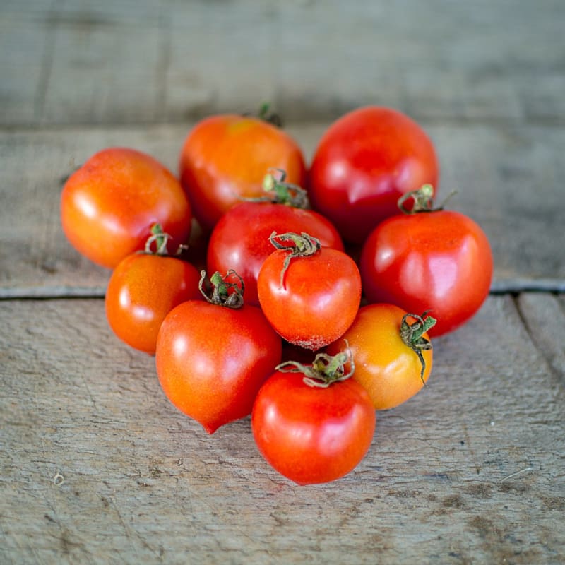 Geranium Kiss Tomato (68 Days) - Vegetables
