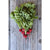 German Giant Radish (Heirloom 37 Days) - Vegetables
