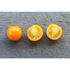 Gold Nugget Tomato (55 Days) - Vegetables