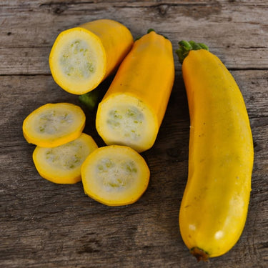 Golden Glory Zucchini (F1 Hybrid 50 Days) - Vegetables