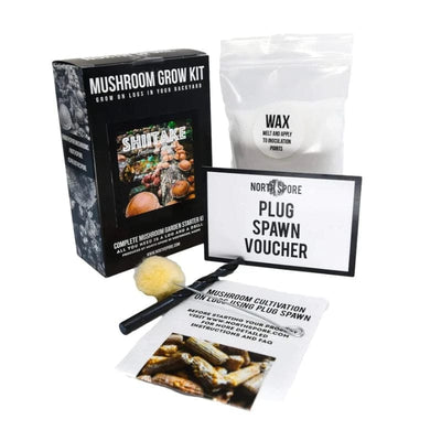 Golden Oyster Mushroom Outdoor Log Growing Kit - Mushrooms
