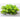 Goldgelber Purslane (50 Days) - Vegetables