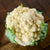 Goodman Cauliflower (Organic 65 Days) - Vegetables