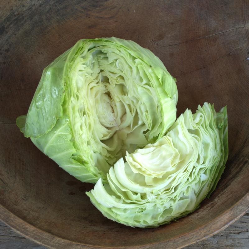 Green Express Cabbage (Organic Heirloom 50 Days)