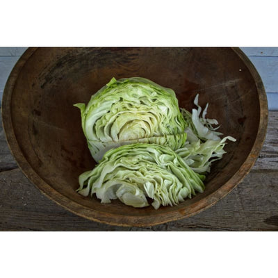 Green Express Cabbage (Organic Heirloom 50 Days) - Vegetables
