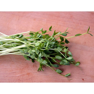 Green Peas Shoots - Vegetables