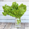 Green Wave Mustard (50 Days) - Vegetables