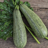 Greyzini Summer Squash (F1 Hybrid 47 Days) - Vegetables