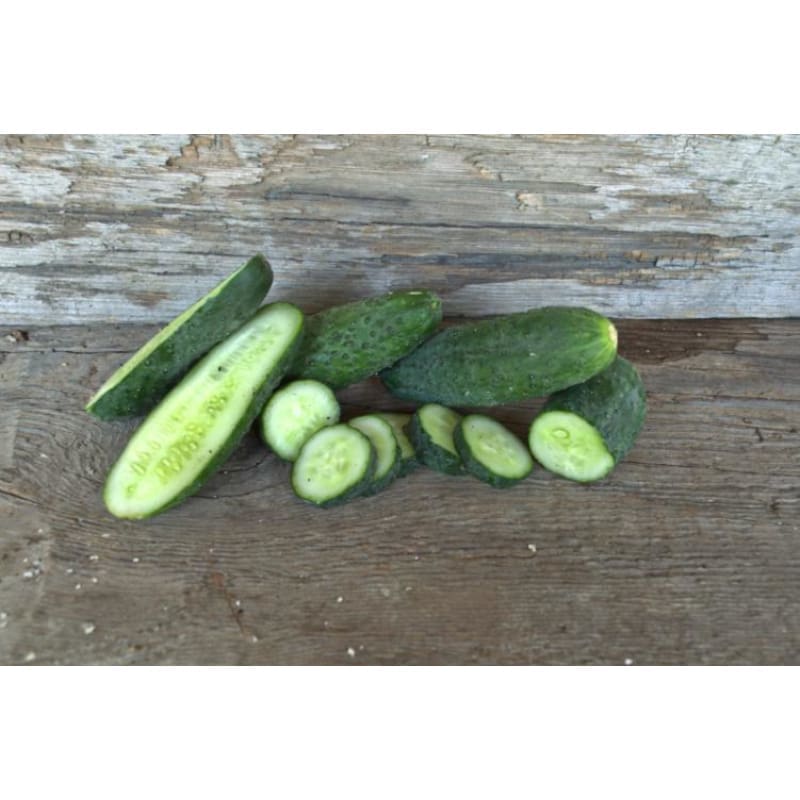 Cucumber Seeds - National Pickling Cucumber Seeds - National Pickling