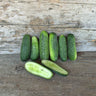 H-19 Little Leaf Cucumber (Organic 57 Days) - Vegetables