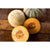 Halona Melon (F1 Hybrid 74 Days) - Vegetables