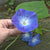 Heavenly Blue Morning Glory - Flowers