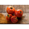 Heinz Classic Processor Tomato (75 Days) - Vegetables