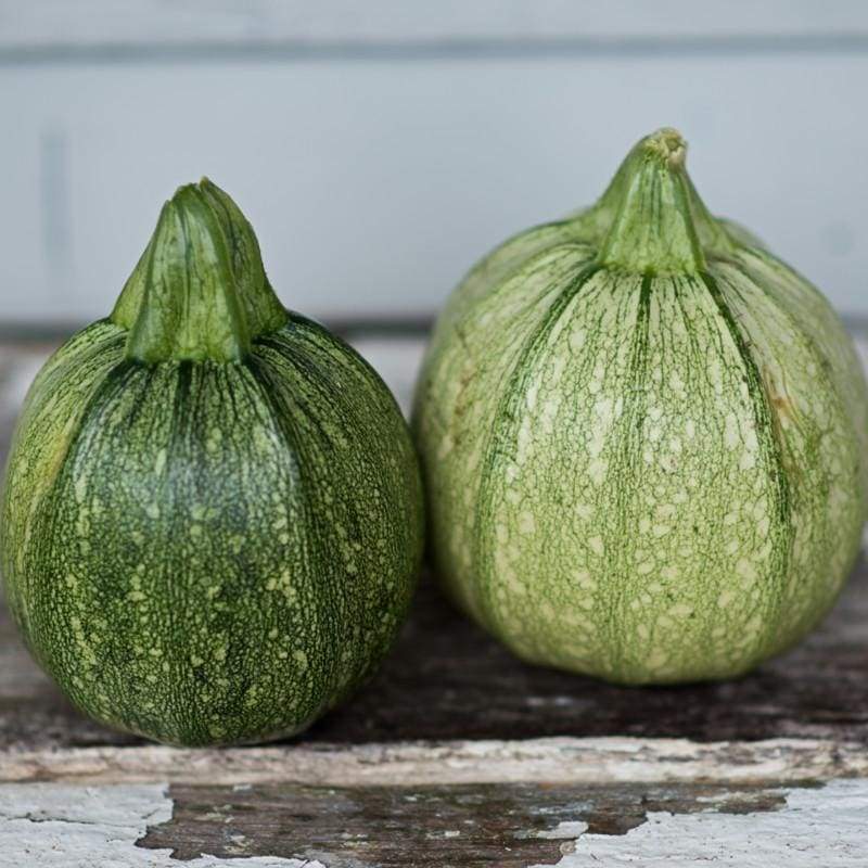 Heirloom Seed Collection Garden Seeds