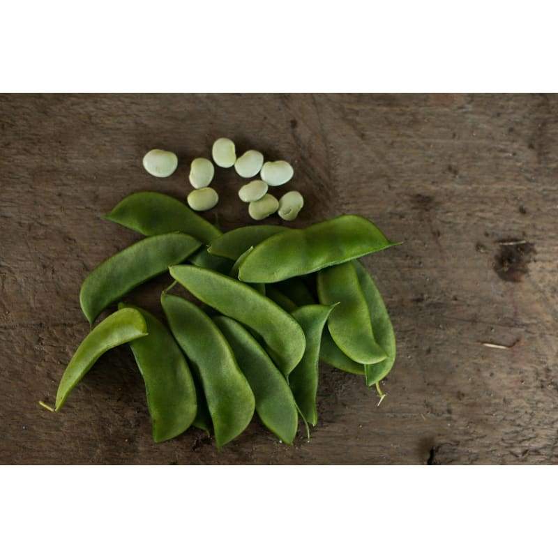 Henderson Bush Lima Bean (Heirloom 68 Days) - Vegetables
