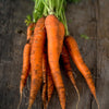 Imperator Carrot (Heirloom 70 Days) - Vegetables