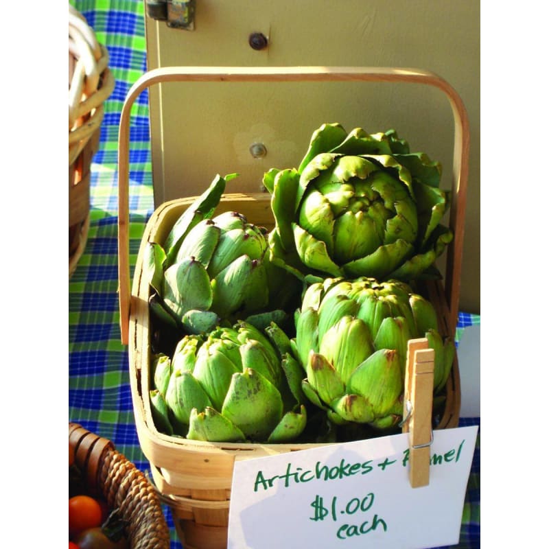IMPERIAL STAR ARTICHOKE 90 DAYS Pinetree Garden Seeds Imperial star artichoke 90 days pinetree garden seeds