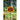 Sunflower - Jolly Joker - Flowers