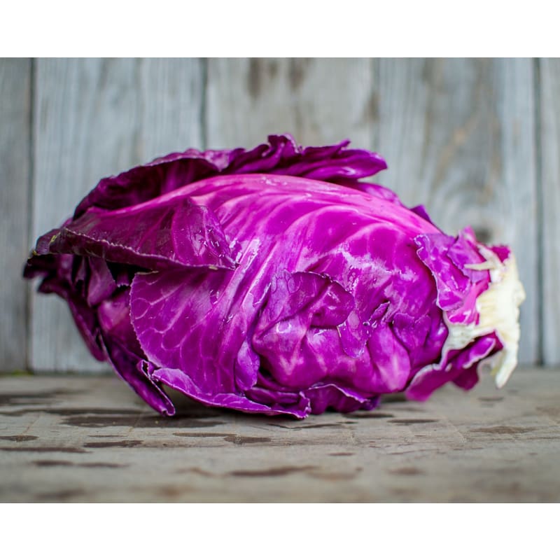 Kalibos Cabbage (Heirloom, 85 Days)