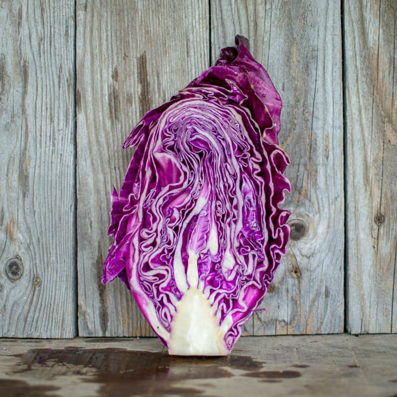 Kalibos Cabbage (Heirloom, 85 Days)