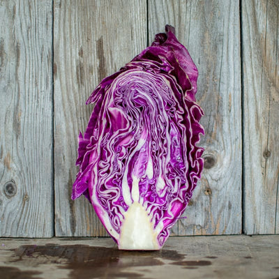 Kalibos Cabbage (Heirloom 85 days) - Vegetables
