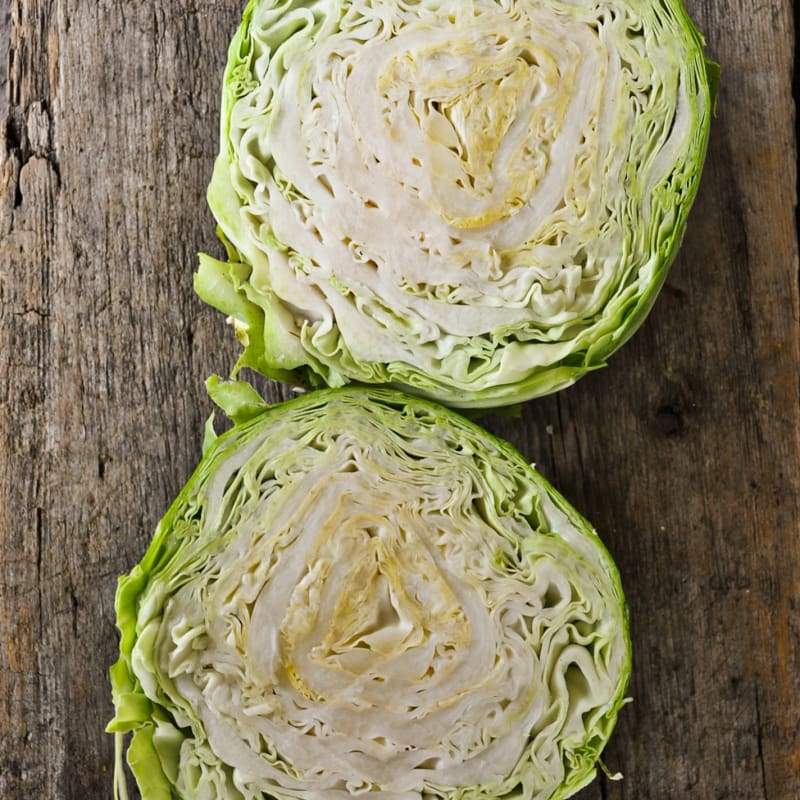 Katarina Cabbage (F1 Hybrid 45 Days) – Pinetree Garden Seeds