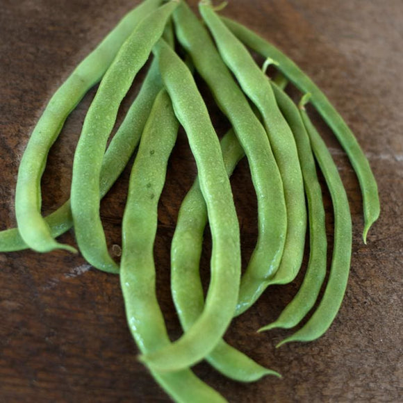 Kentucky Wonder Pole Bean (66 day, Heirloom) Phaseolus vulgaris Garden Seeds