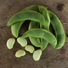 King of the Garden Pole Lima Bean (Heirloom 85 Days) - Vegetables