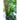 King of the North Pepper ( Heirloom 70 Days) - Vegetables