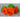Nasturtium - King Theodore - Flowers