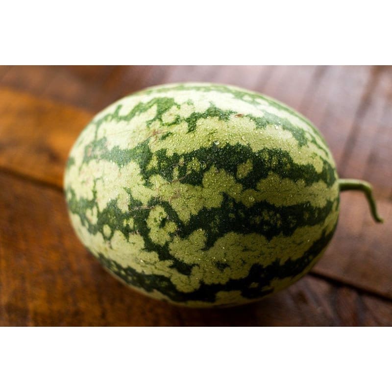Klondike Blue Ribbon Striped Watermelon (90 Days)