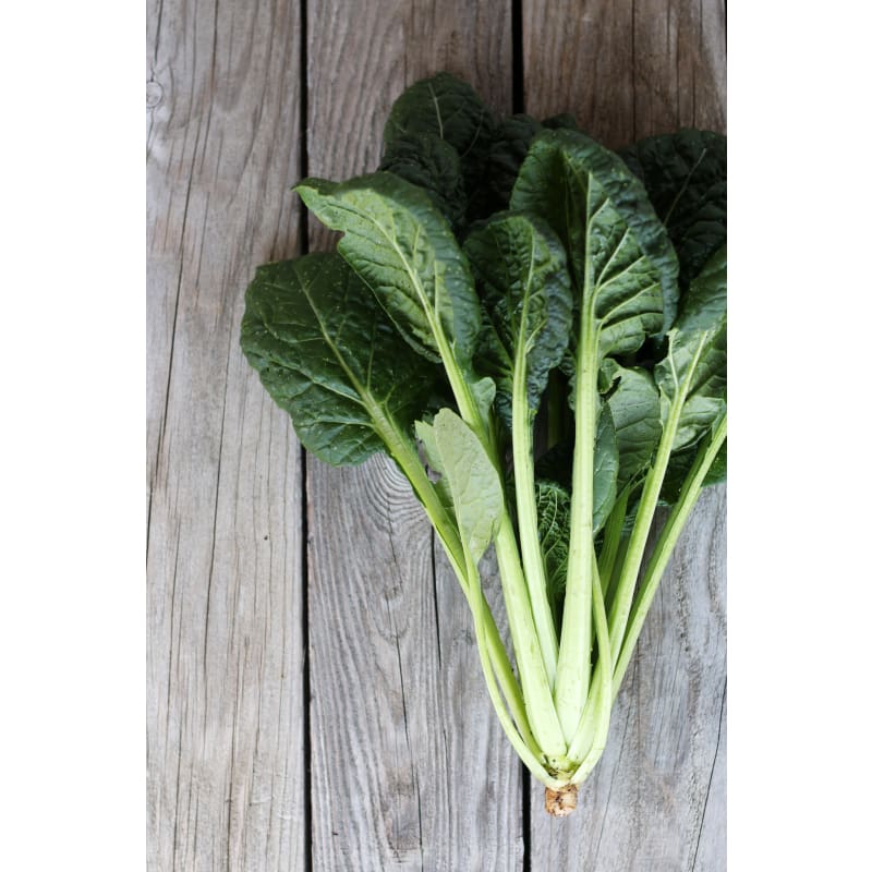 Komatsuna Mustard Spinach (52 Days) - Vegetables
