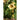 Nasturtium - Ladybird Cream Purple Spot - Flowers