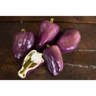 Lilac Bell Pepper (70 Days) - Vegetables