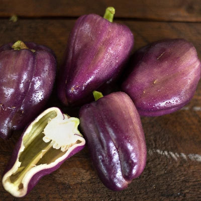 Lilac Bell Pepper (F1 Hybrid 70 Days) - Vegetables