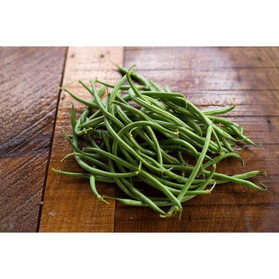 Maxibel Bush Bean (59 Days) - Vegetables
