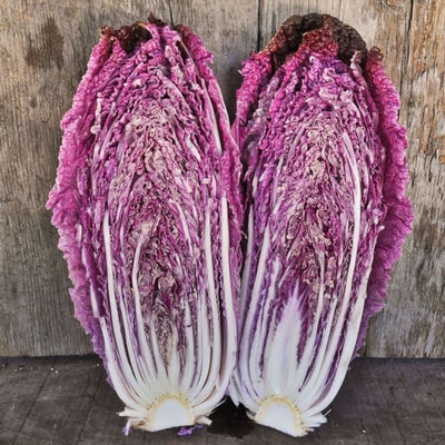 Merlot Chinese Cabbage (F1 Hybrid 60 Days) - Vegetables