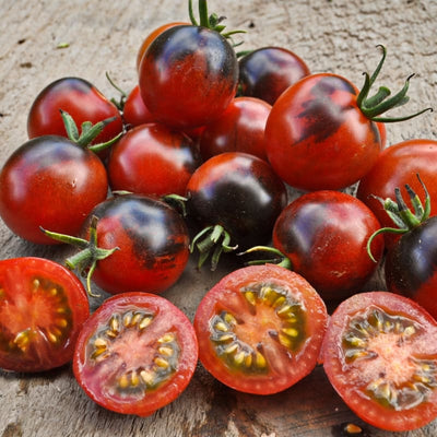 Midnight Snack Tomato (65-70 Days) - Vegetables