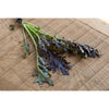 Mizuna Red Streaked Mustard (20-45 Days) - Vegetables