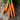Mokum Carrot (F1 Hybrid 54 Days) - Vegetables